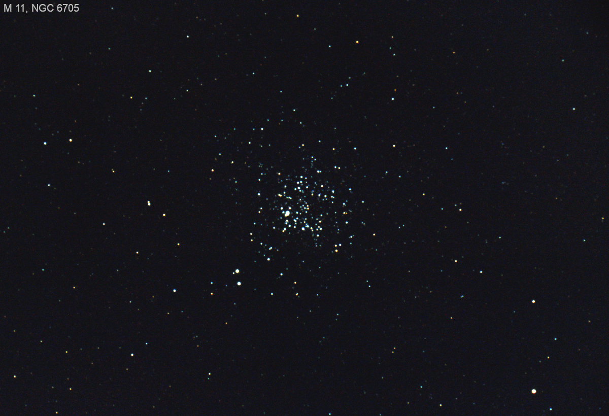 Звездное скопление Мессье 11